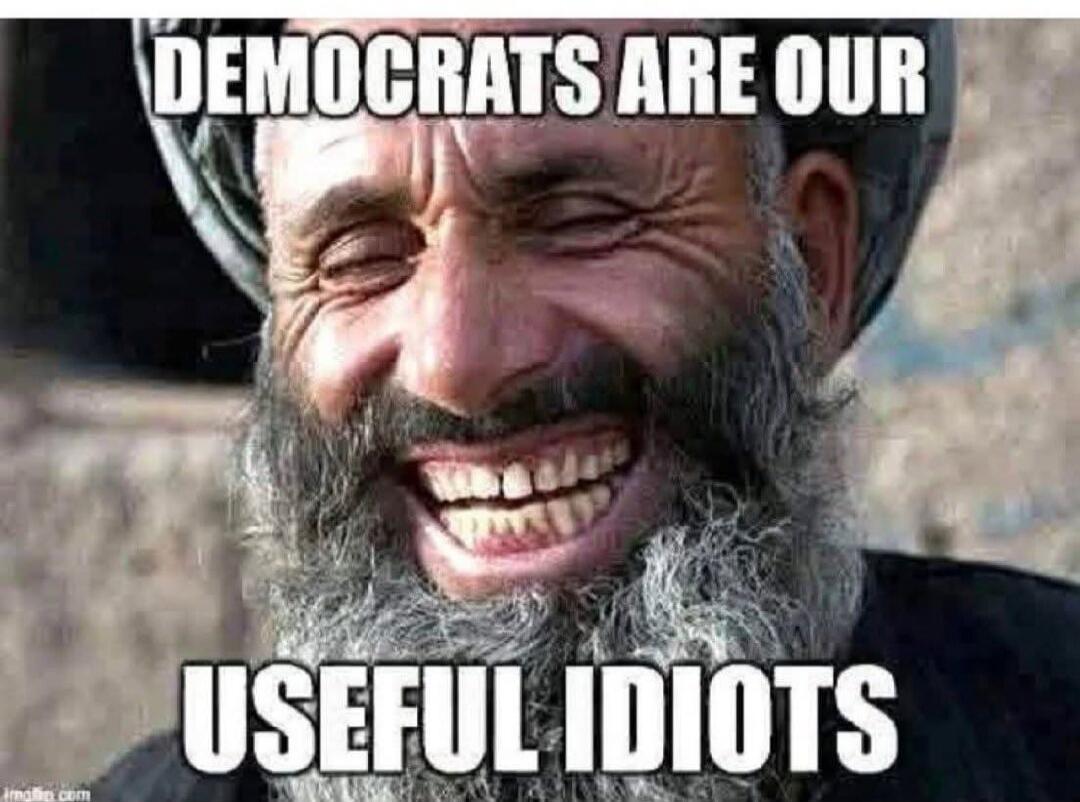 DEMOCRATS ARE OUR USEFUL IDIOTS