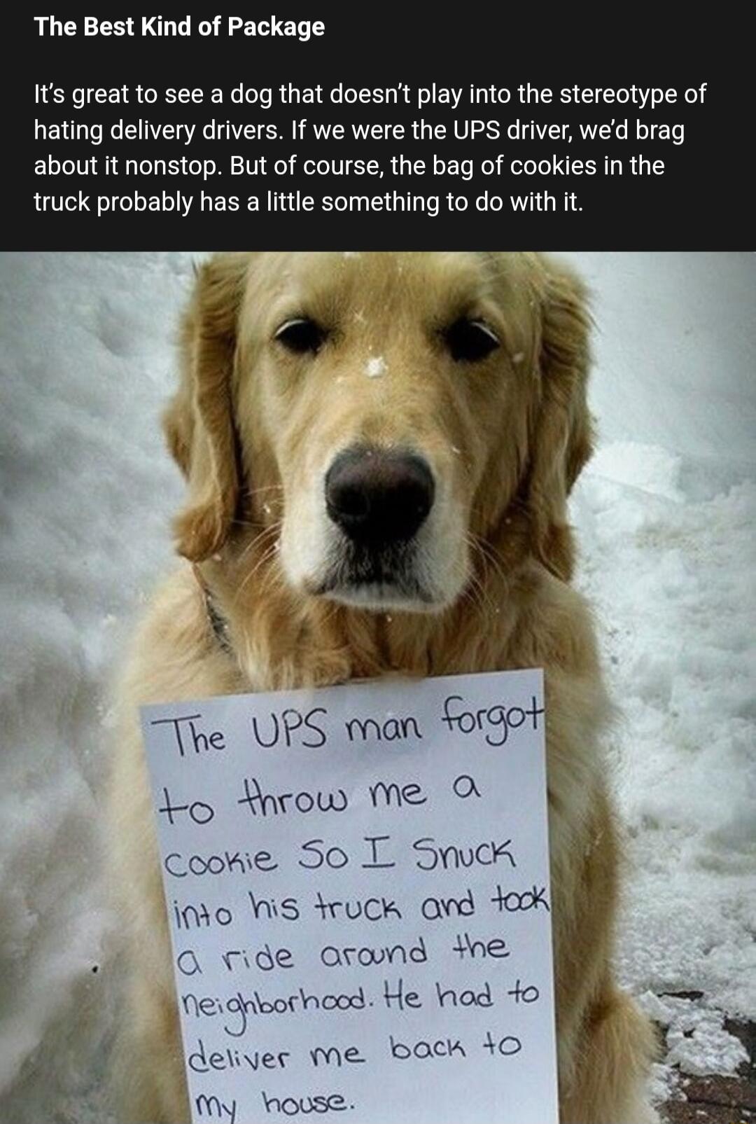 The Best Kind of Package Its great to see a dog that doesnt play into the stereotype of hating delivery drivers If we were the UPS driver wed brag about it nonstop But of course the bag of cookies in the truck probably has a little something to do with it The UPS man o o Hrow Mme cookie S0 L SucA io s druck and oK 2 0 ride osond e E Ne ongorhood He hod fo ai deliver tne bock o B 1 house