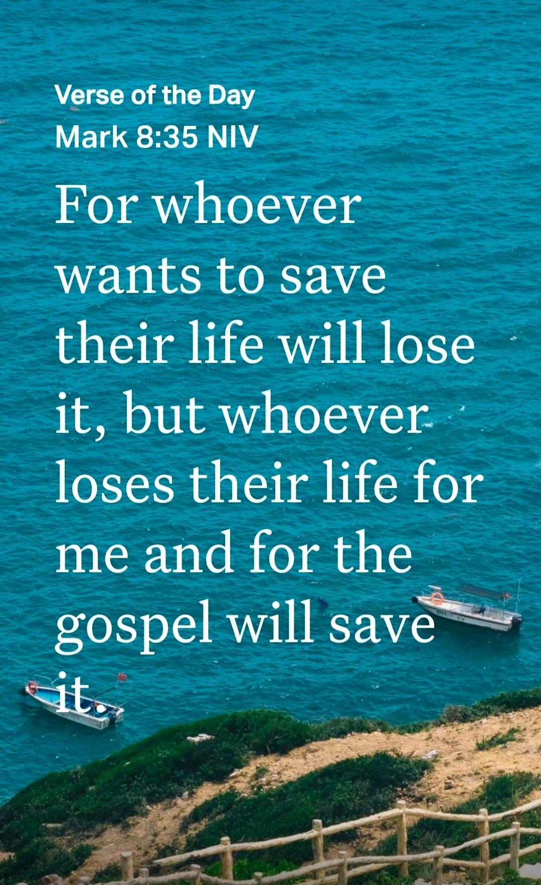 Verse of the Day
Mark 8:35 NIV
For whoever wants to save their life will lose it, but whoever loses their life for me and for the gospel will save it.