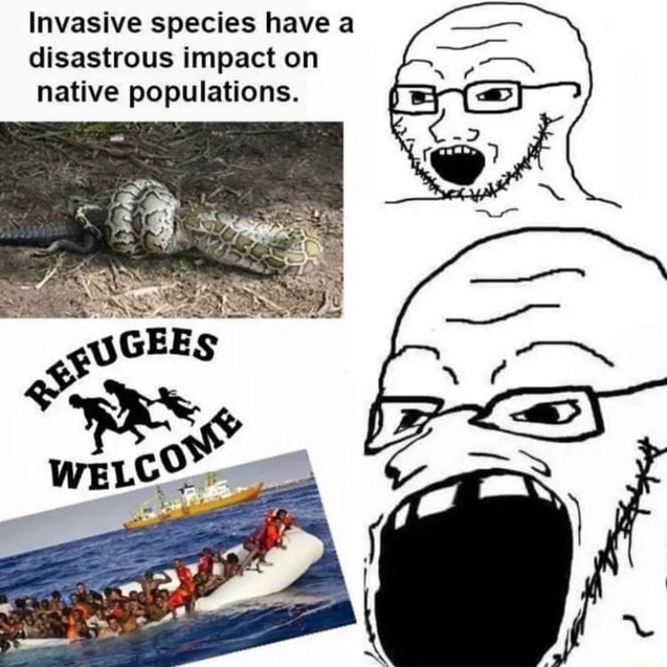 Invasive species have a disastrous impact on native populations