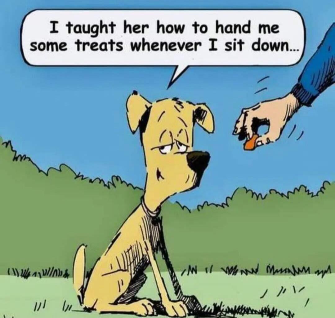 I taught her how to hand me some treats whenever I sit down...