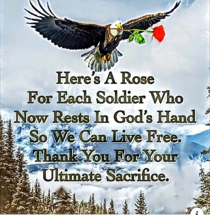Here's A Rose For Each Soldier Who Now Rests In God's Hand So We Can Live Free. Thank You For Your Ultimate Sacrifice.