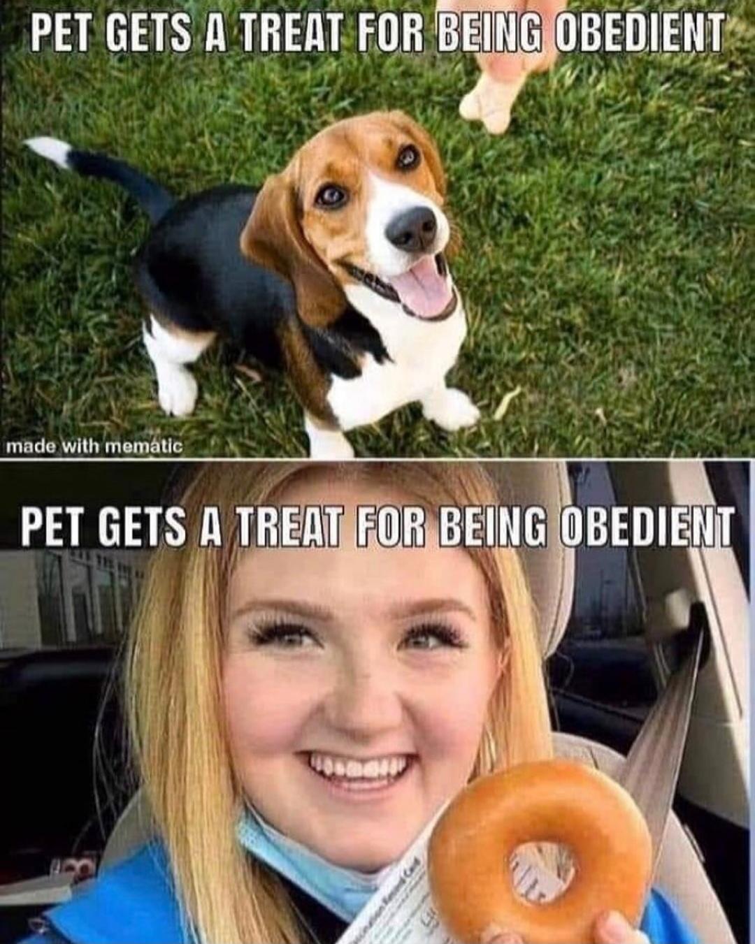 PET GETS A TREAT FOR BEING OBEDIENT made with mematic PET GETS A TREAT FOR BEING OBEDIENT