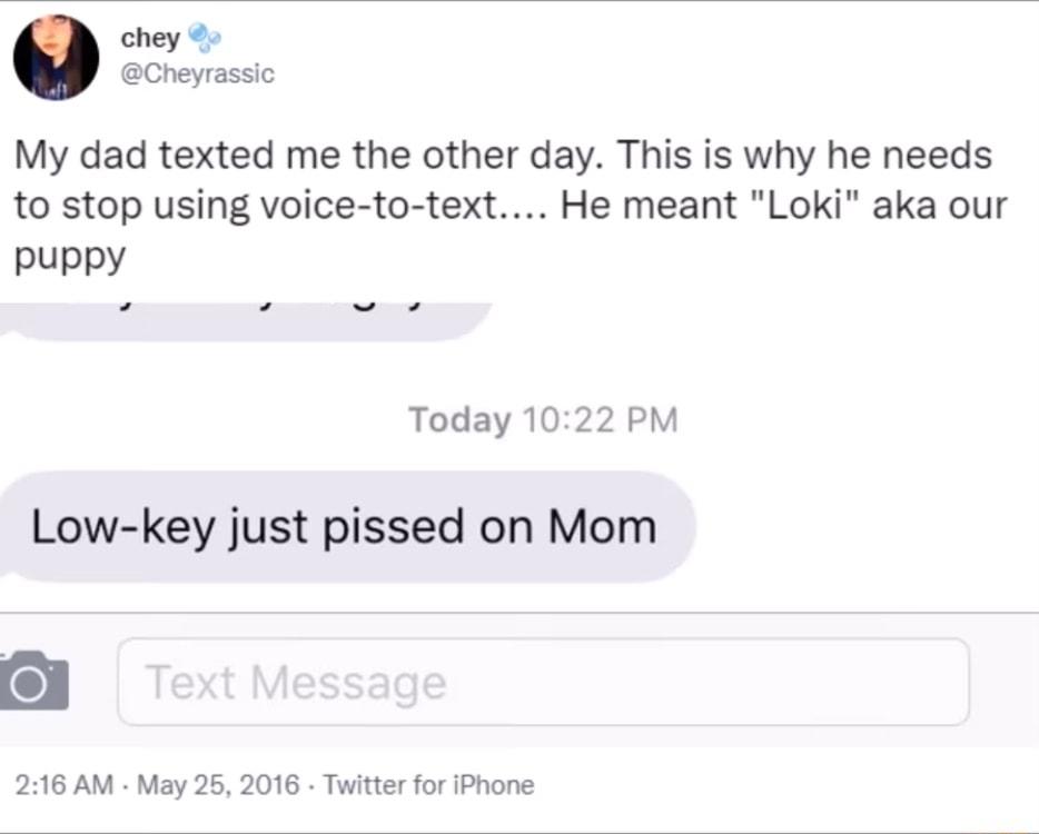chey Cheyrassic My dad texted me the other day This is why he needs to stop using voice to text He meant Loki aka our puppy s Today 1022 PM Low key just pissed on Mom 216 AM May 25 2016 Twitter for iPhone