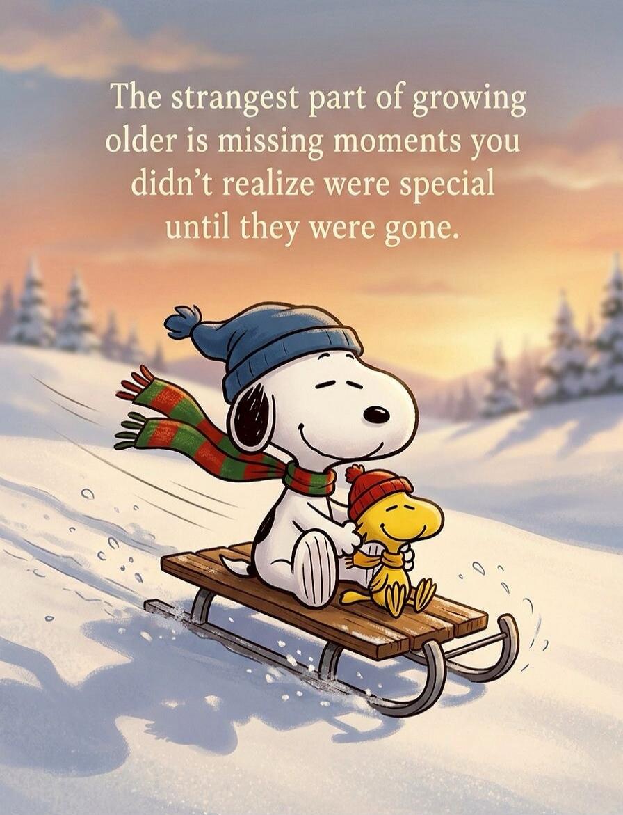 The strangest part of growing older is missing moments you didn’t realize were special until they were gone.