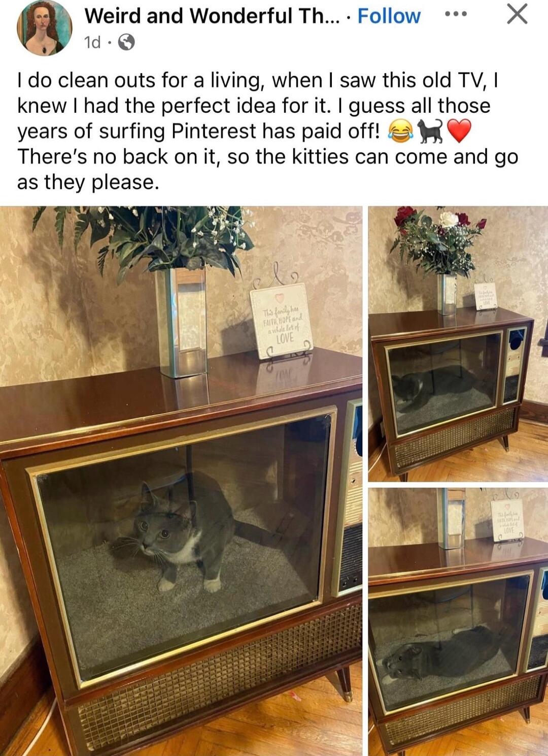 Weird and Wonderful Th d Q I do clean outs for a living when saw this old TV knew had the perfect idea for it guess all those years of surfing Pinterest has paid off g Theres no back on it so the kitties can come and go as they please