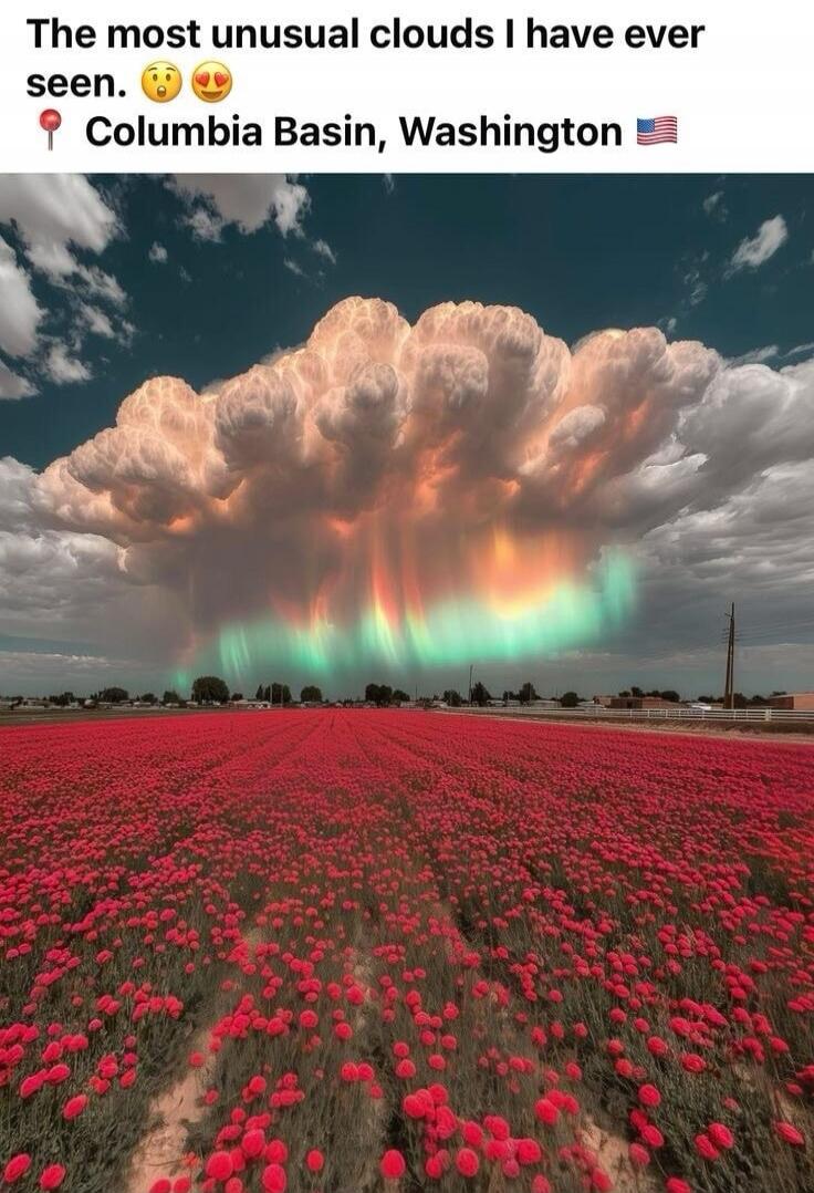 The most unusual clouds I have ever seen. Columbia Basin, Washington