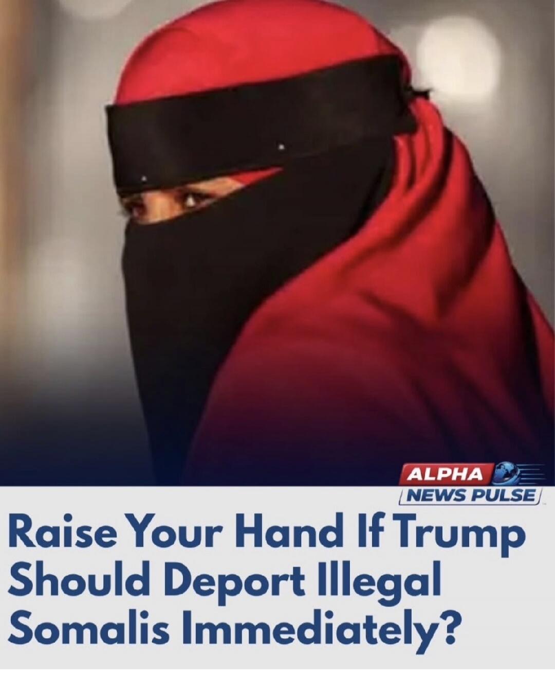 ALPHA NEWS PULSE Raise Your Hand If Trump Should Deport Illegal Somalis Immediately?