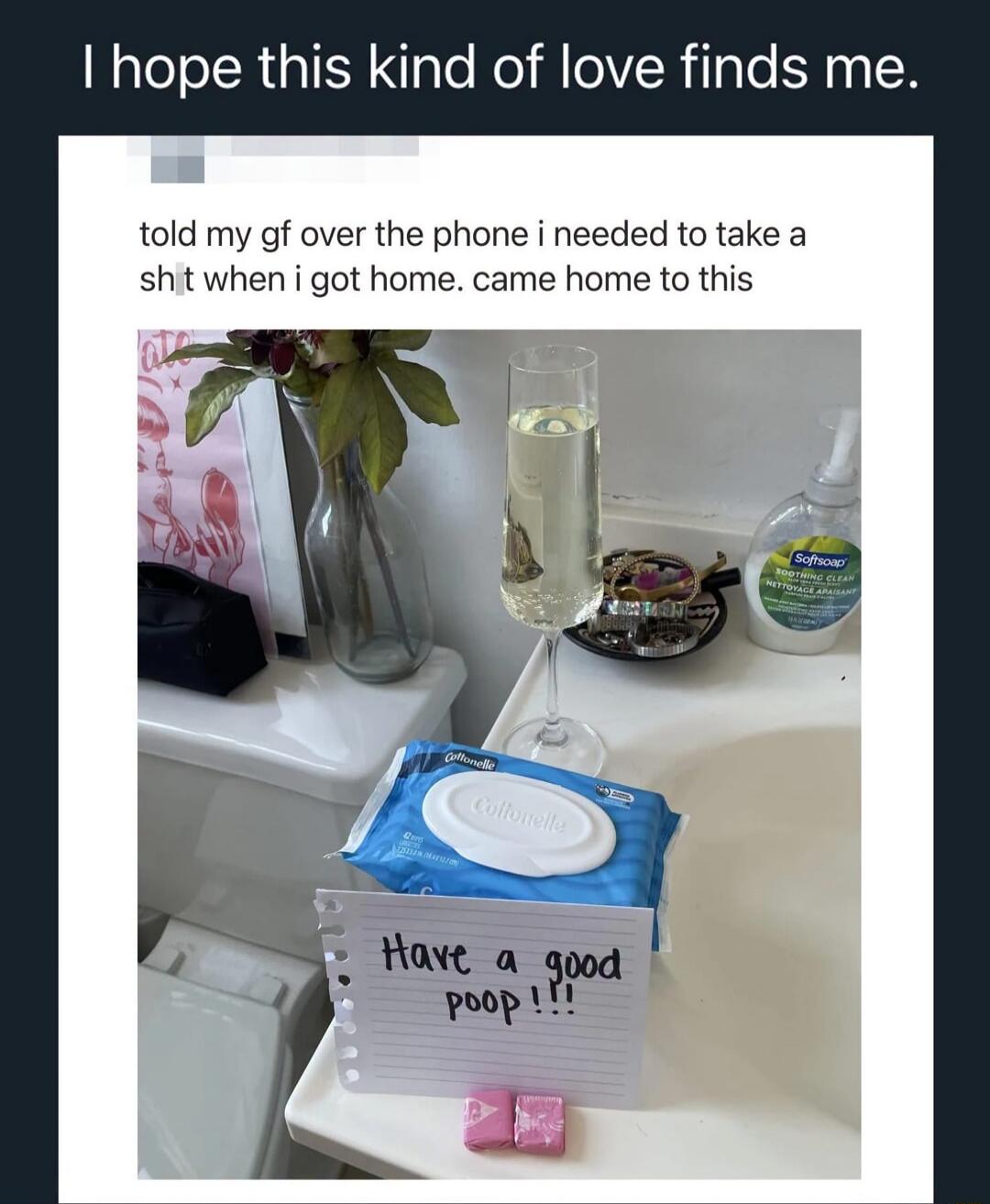 I hope this kind of love finds me. told my gf over the phone i needed to take a sh*t when i got home. came home to this. Have a good poop!!!