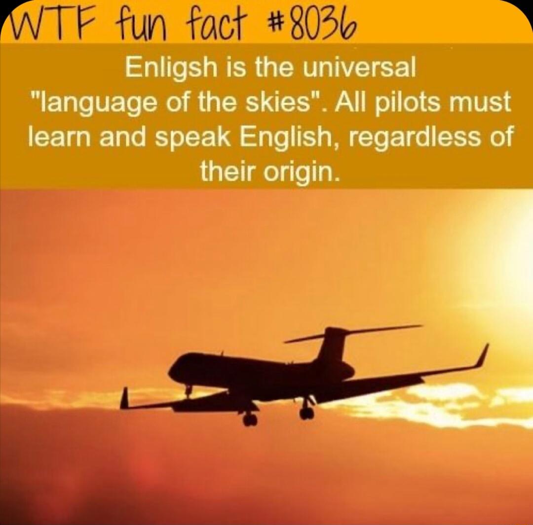 WTF fun fact 8026 R Enligsh is the universal TT VETo TNl g T3 ST oo 0 V learn and speak English regardless of their origin