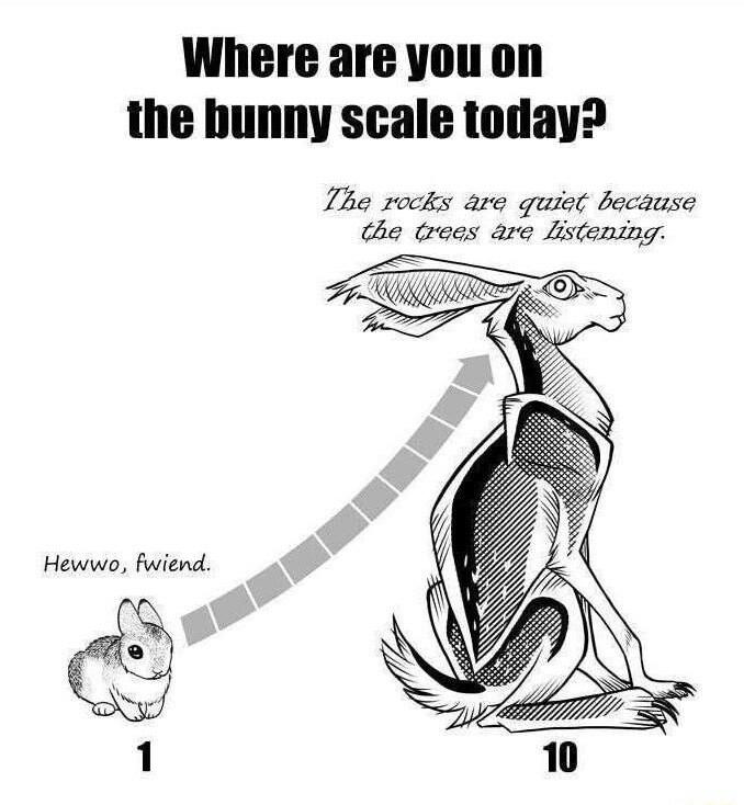 Where are youon the hunny scale today Zhe rocks are quist bacause the trees are Lstening e Hewwo fwiend 2