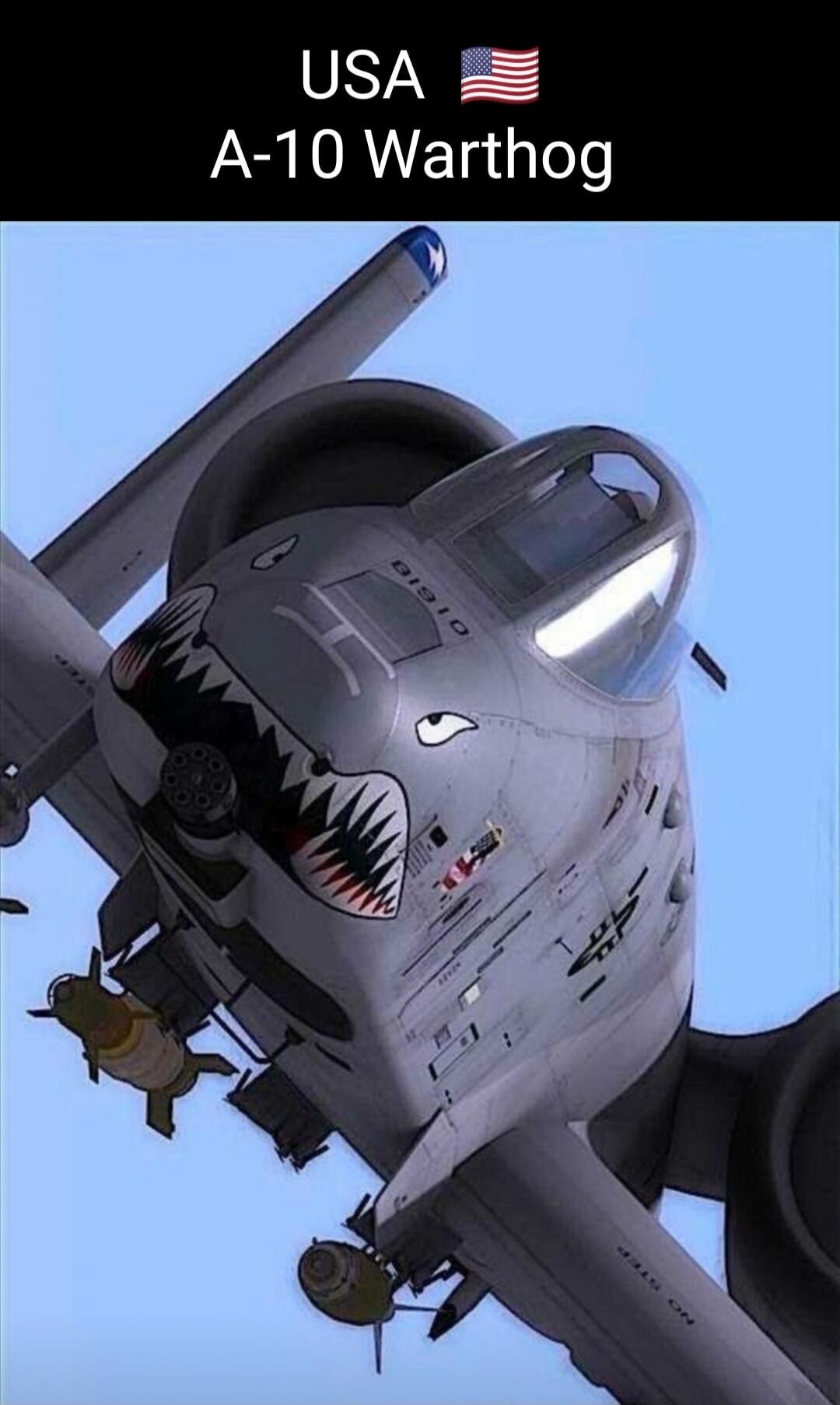 USA A-10 Warthog