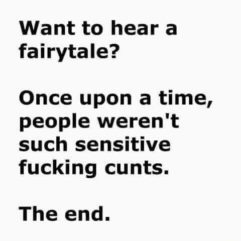 Want to hear a fairytale Once upon a time people werent such sensitive fucking cunts The end