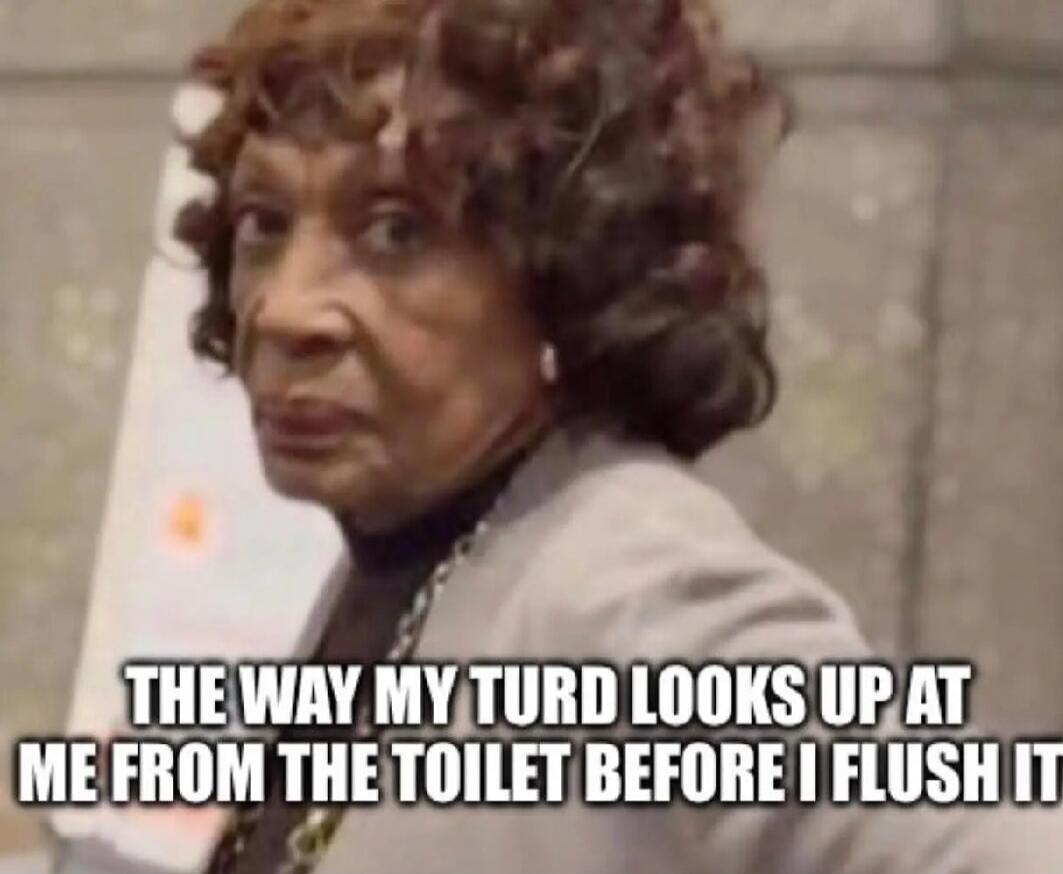 THE WAY MY TURD LOOKS UP AT ME FROM THE TOILET BEFORE I FLUSH IT