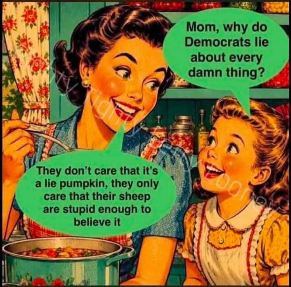 Mom, why do Democrats lie about every damn thing? They don't care that it's a lie pumpkin, they only care that their sheep are stupid enough to believe it.