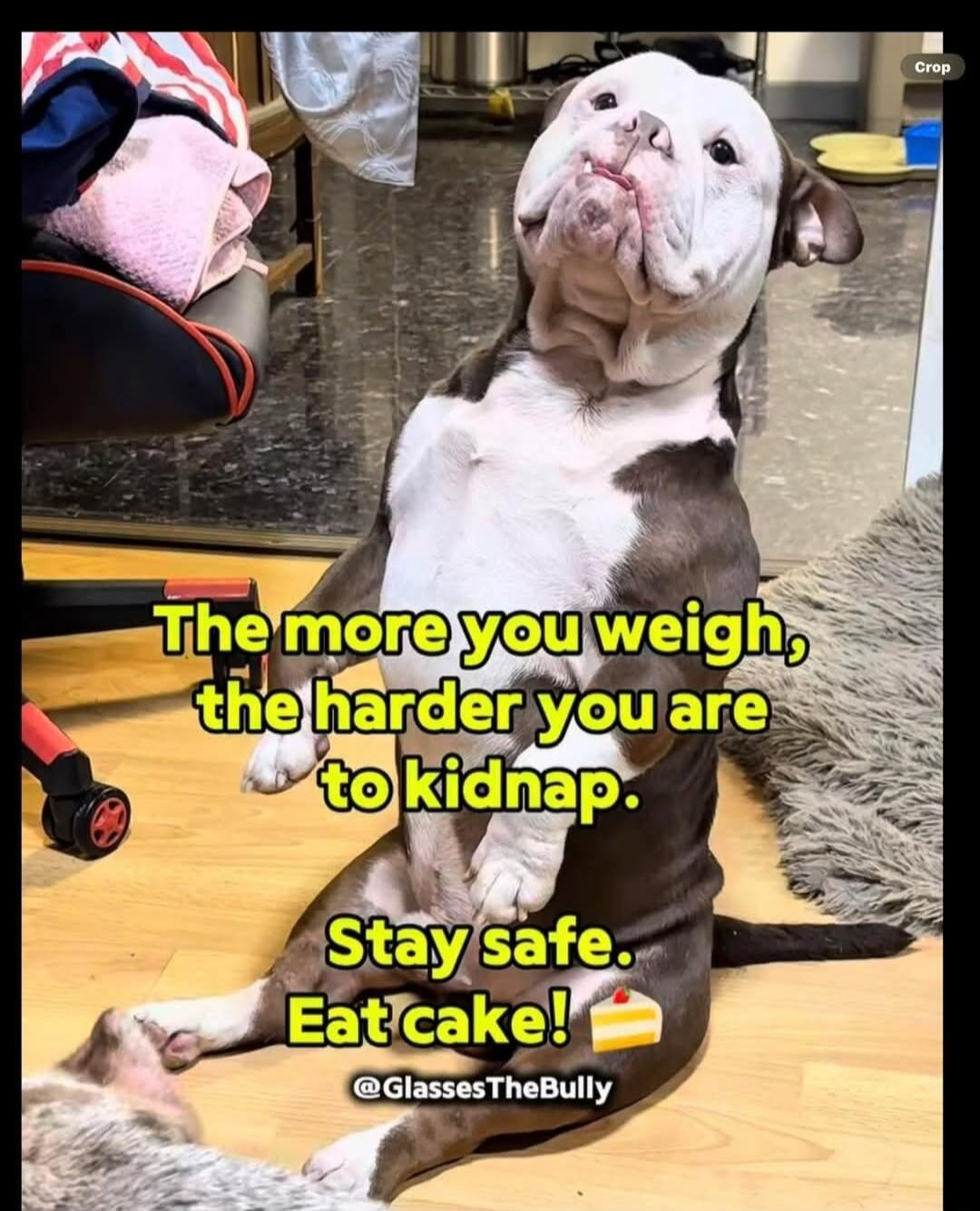 The more you weigh, the harder you are to kidnap. Stay safe. Eat cake! @GlassesTheBully