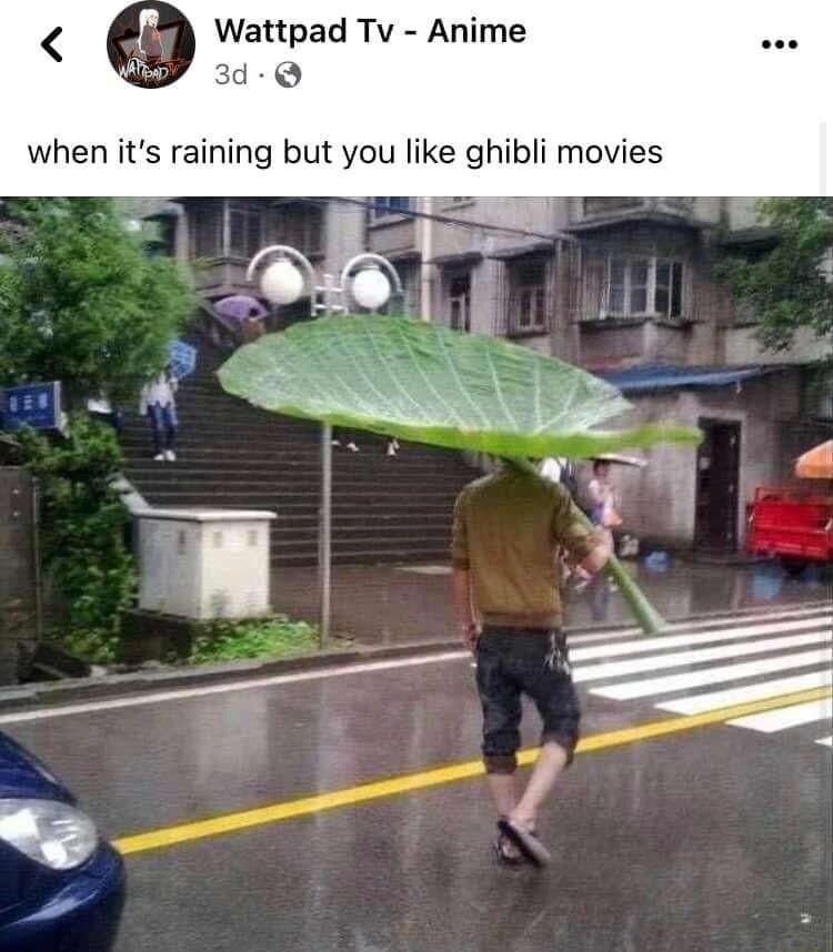 WattpadTv Anime when its raining but you like ghibli movies