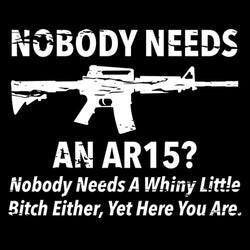 UBODY NEEDS R AN AR15 Nobody Needs A Whiny Little Bitch Either Yet Here You Are