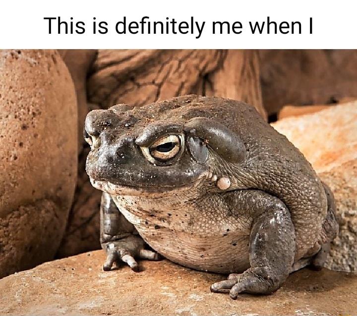 This is definitely me when