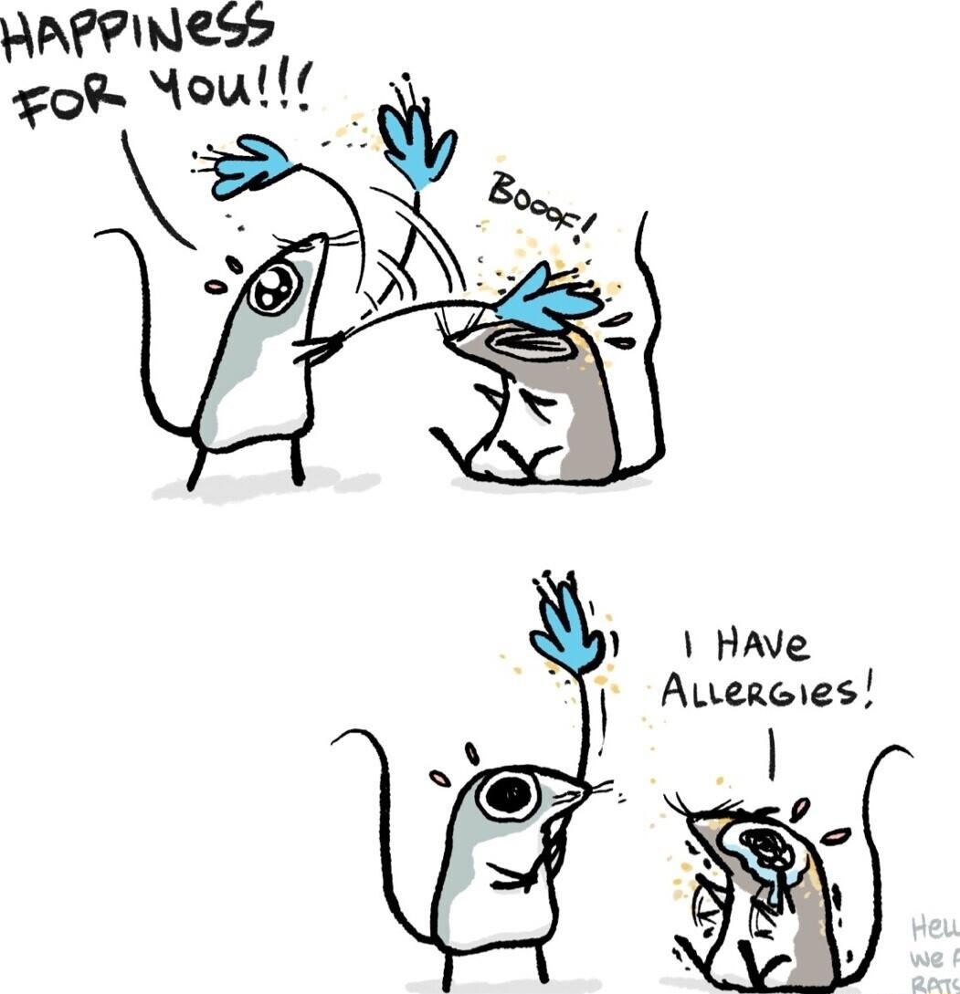 XY Have i Auercies I