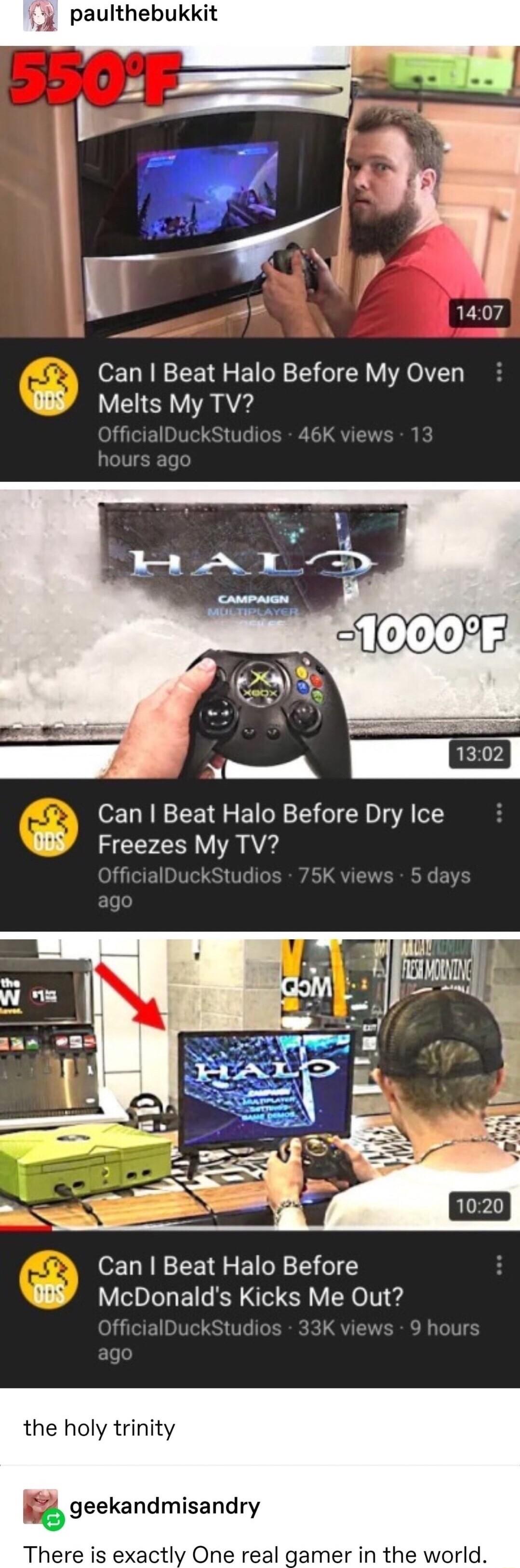 e 1407 Can Beat Halo Before My Oven Y Melts My TV 522 o Can Beat Halo Before Dry Ice WY Freezes My TV Can Beat Halo Before Y McDonalds Kicks Me Out alDuckStu the holy trinity geekandmisandry There is exactly One real gamer in the worl
