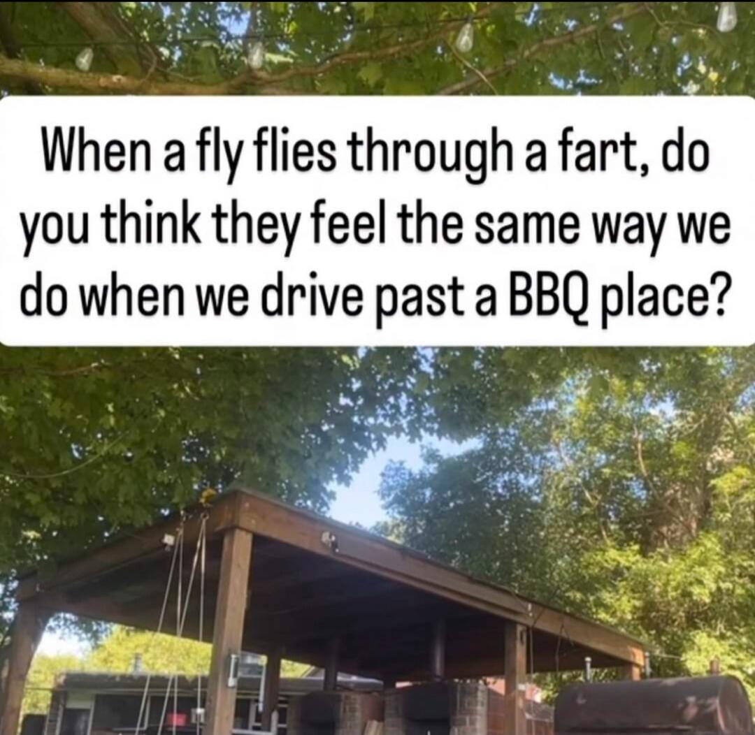 When a fly flies through a fart, do you think they feel the same way we do when we drive past a BBQ place?