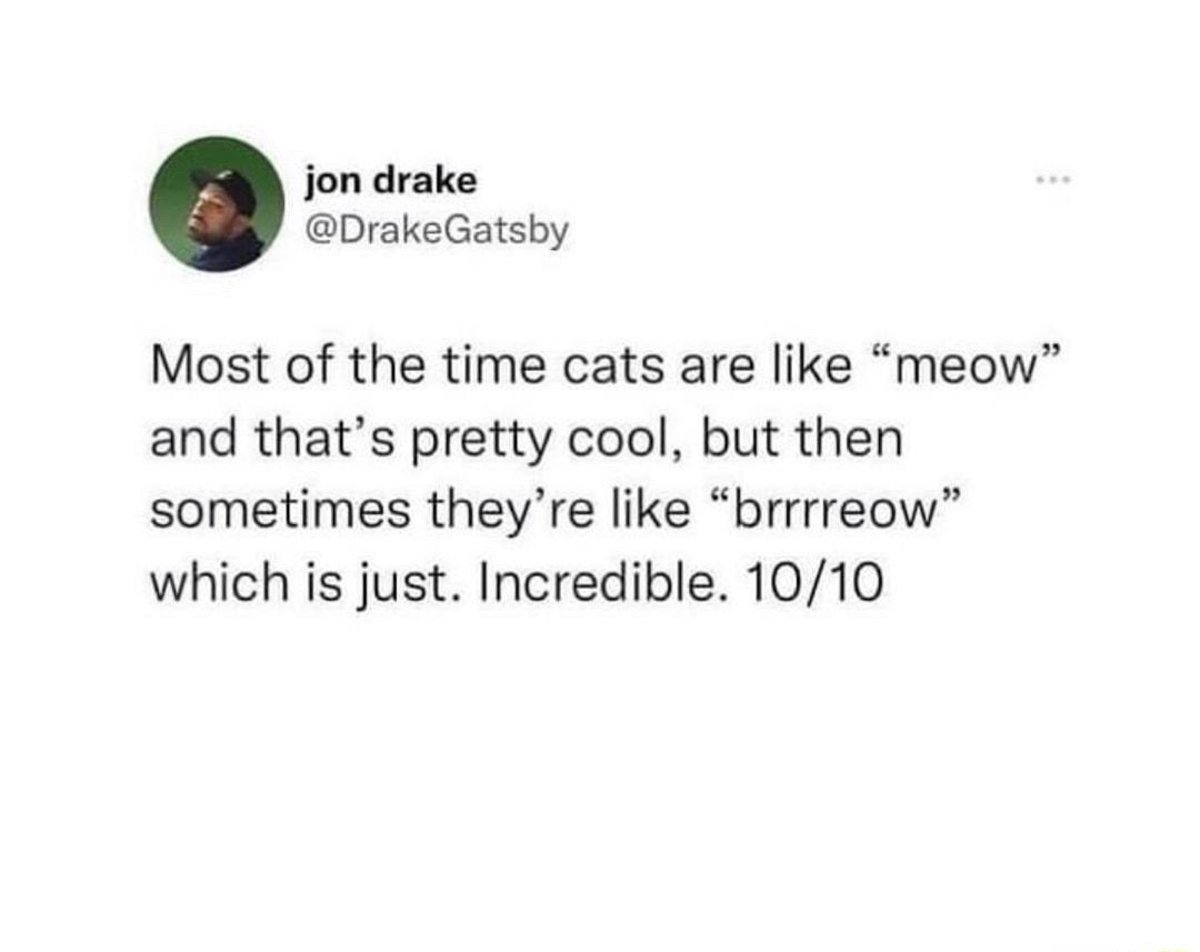 jon drake DrakeGatsby Most of the time cats are like meow and thats pretty cool but then sometimes theyre like brrrreow which is just Incredible 1010