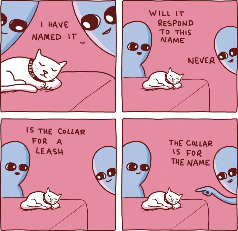 WiLL 1T ResPoND TO THIS NAME IS THE CoLLAR FoR A THE CoLLAR LEASH 1S FoR THE NAME