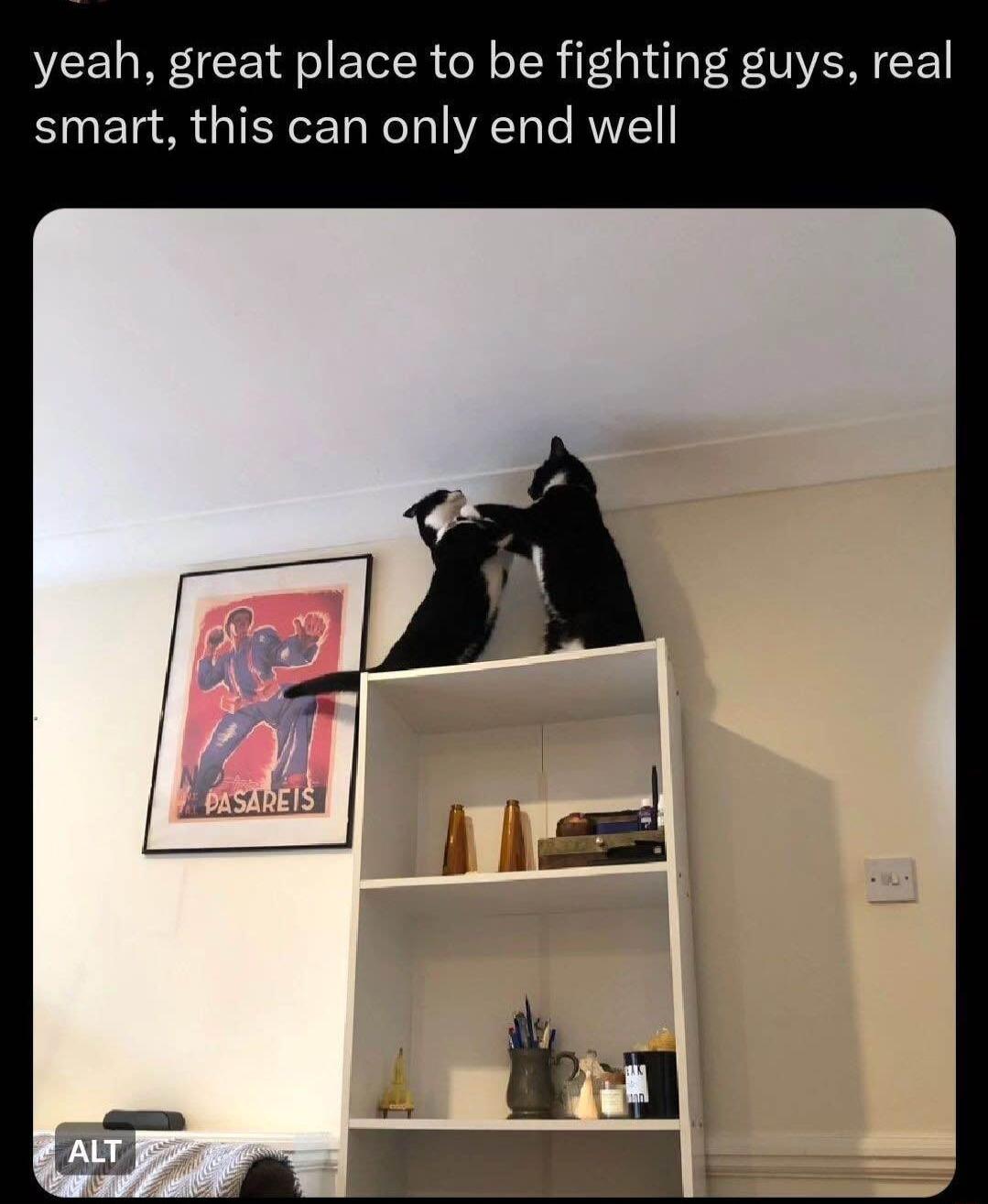 yeah great place to be fighting guys real smart this can only end well
