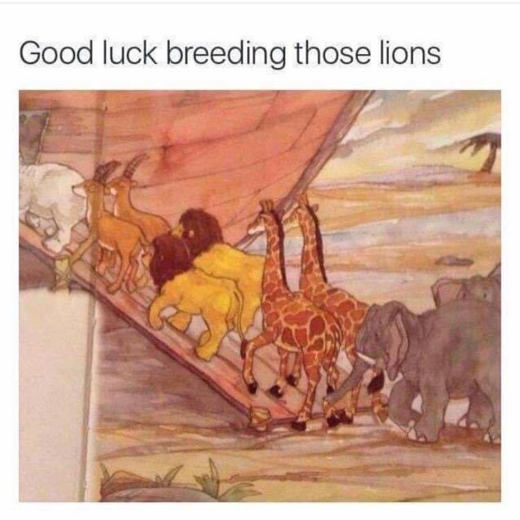 Good luck breeding those lions