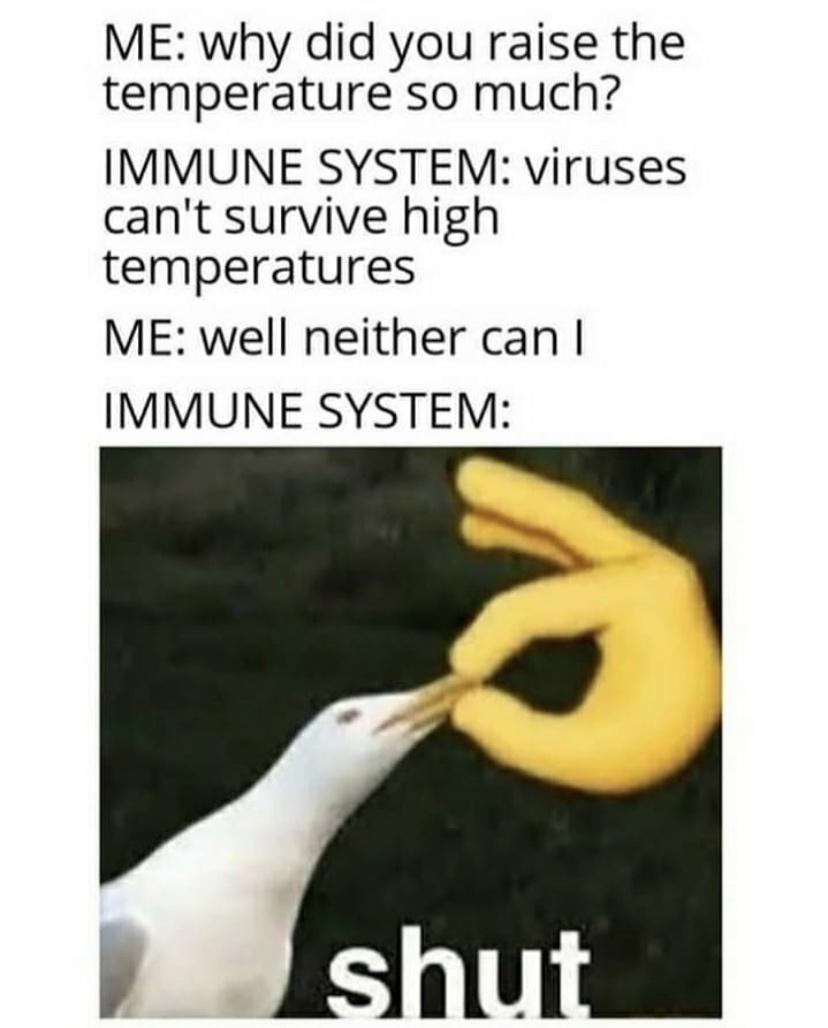 ME why did you raise the temperature so much IMMUNE SYSTEM viruses cant survive high temperatures ME well neither can IMMUNE SYSTEM