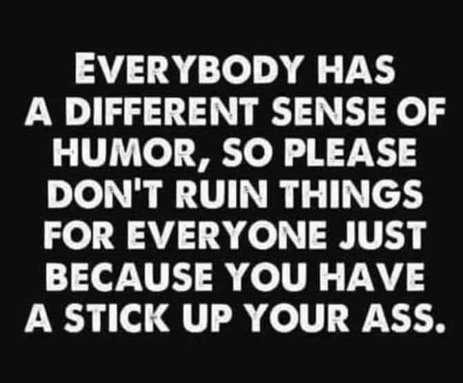 EVERYBODY HAS A DIFFERENT SENSE OF HUMOR, SO PLEASE DON'T RUIN THINGS FOR EVERYONE JUST BECAUSE YOU HAVE A STICK UP YOUR ASS.