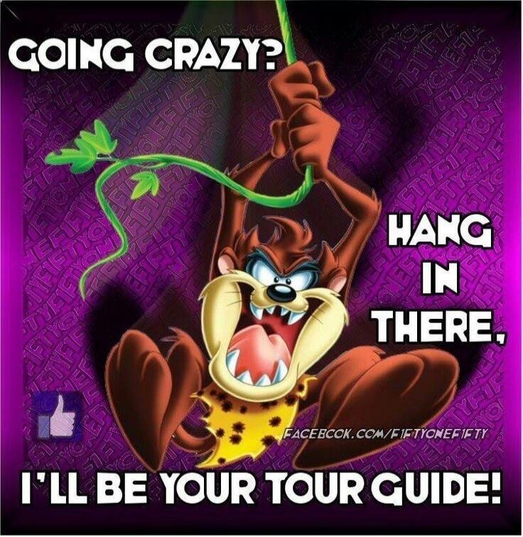 GOING CRAZY? HANG IN THERE. I'LL BE YOUR TOUR GUIDE!