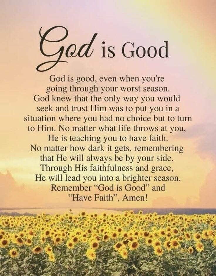 God is Good God is good, even when you're going through your worst season. God knew that the only way you would seek and trust Him was to put you in a situation where you had no choice but to turn to Him. No matter what life throws at you, He is teaching you to have faith. No matter how dark it gets, remembering that He will always be by your side.