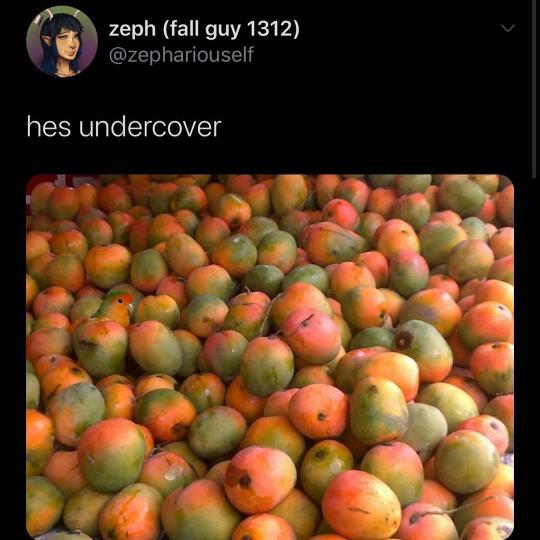 zeph fall guy 1312 FET BN x R hes undercover