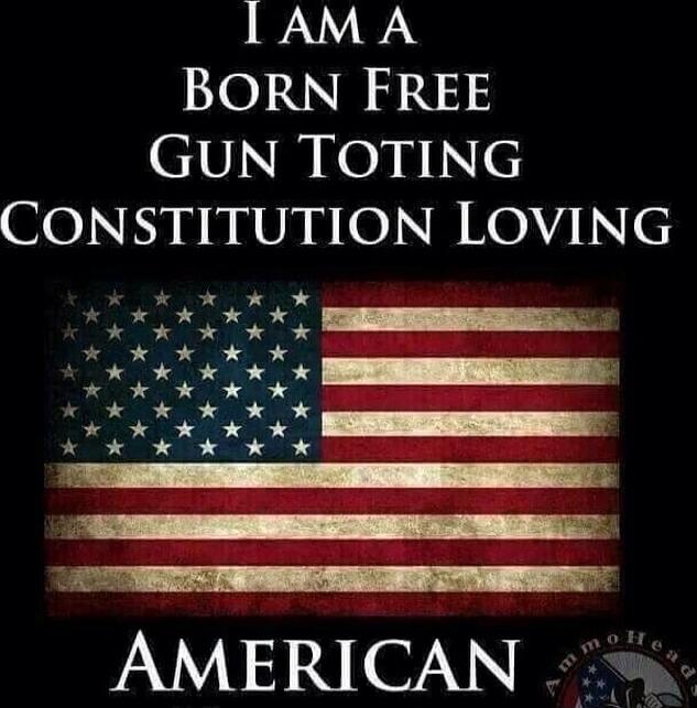 I AM A BORN FREE GUN TOTING CONSTITUTION LOVING AMERICAN