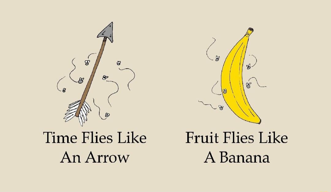 Txme Flies Like Fruit Flies Like An Arrow A Banana