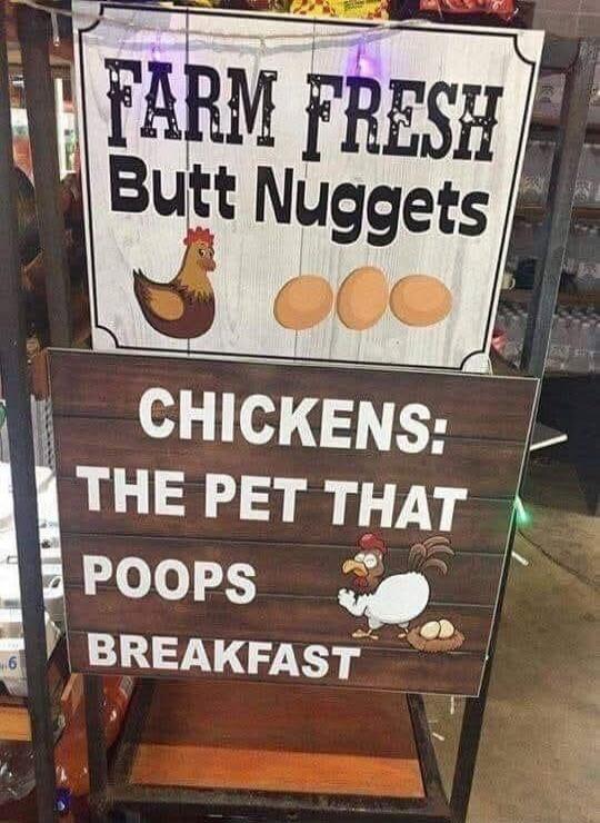 FARM FRESH Butt Nuggets CHICKENS: THE PET THAT POOPS BREAKFAST