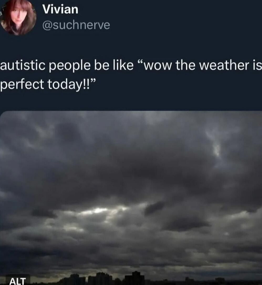 Vivian
@suchnerve
autistic people be like “wow the weather is perfect today!!”