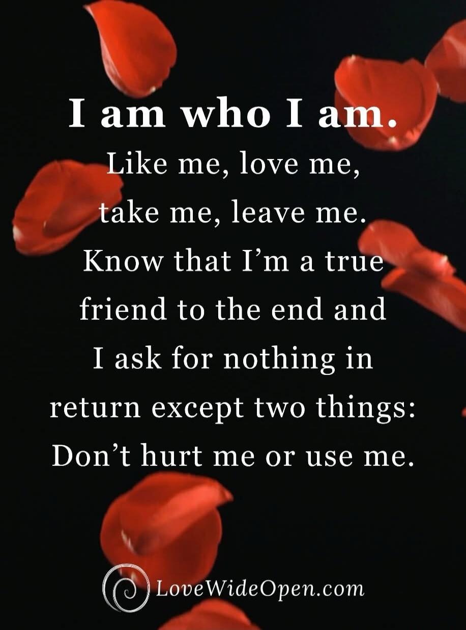 I am who I am. Like me, love me, take me, leave me. Know that I'm a true friend to the end and I ask for nothing in return except two things: Don't hurt me or use me.