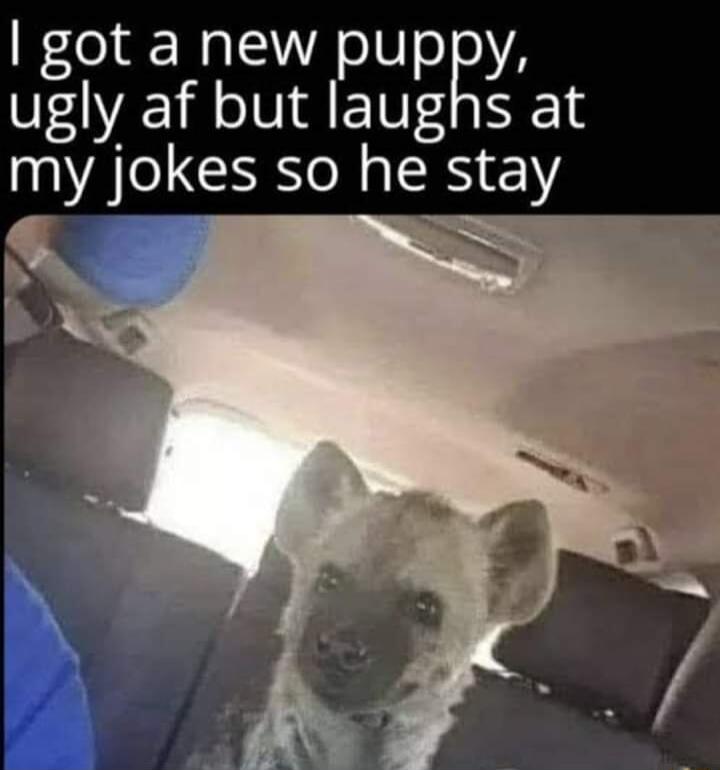 o 1 gT A o o o1 ugly af but laughs at my jokes so he stay