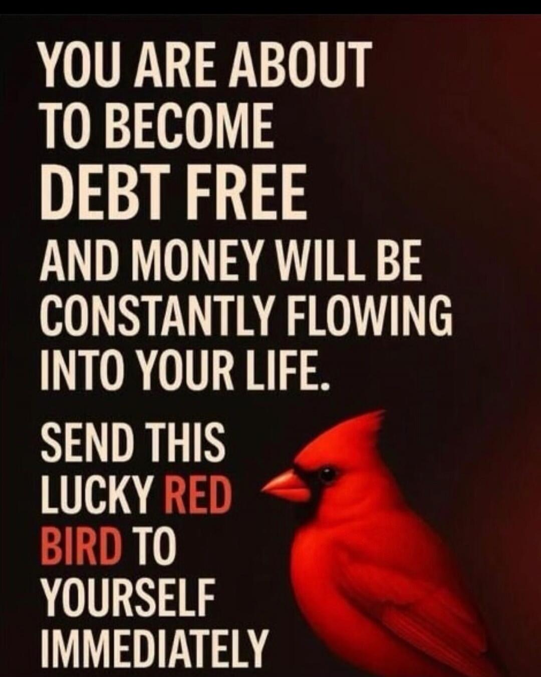 YOU ARE ABOUT TO BECOME DEBT FREE AND MONEY WILL BE CONSTANTLY FLOWING INTO YOUR LIFE. SEND THIS LUCKY RED BIRD TO YOURSELF IMMEDIATELY