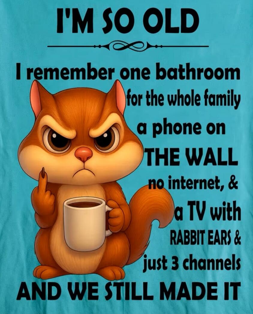 I'M SO OLD I remember one bathroom for the whole family a phone on THE WALL no internet, & a TV with RABBIT EARS & just 3 channels AND WE STILL MADE IT