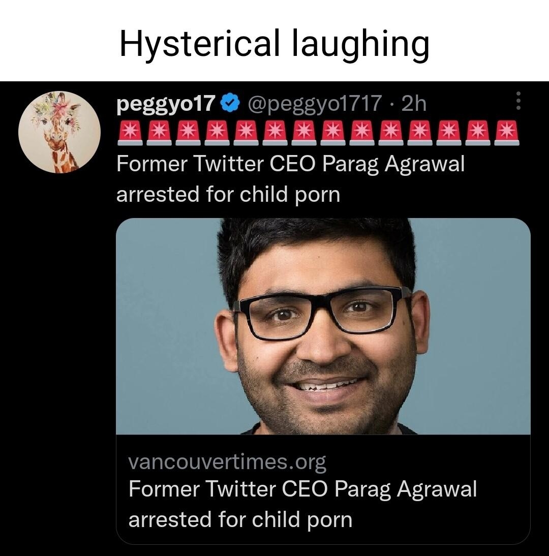 H cal laug peggyo17 peggyol717 2h EREEEREEREERRAR Former Twitter CEO Parag Agrawal arrested for child porn e SAS e vancouvertimesorg Former Twitter CEO Parag Agrawal arrested for child porn ih O 05t