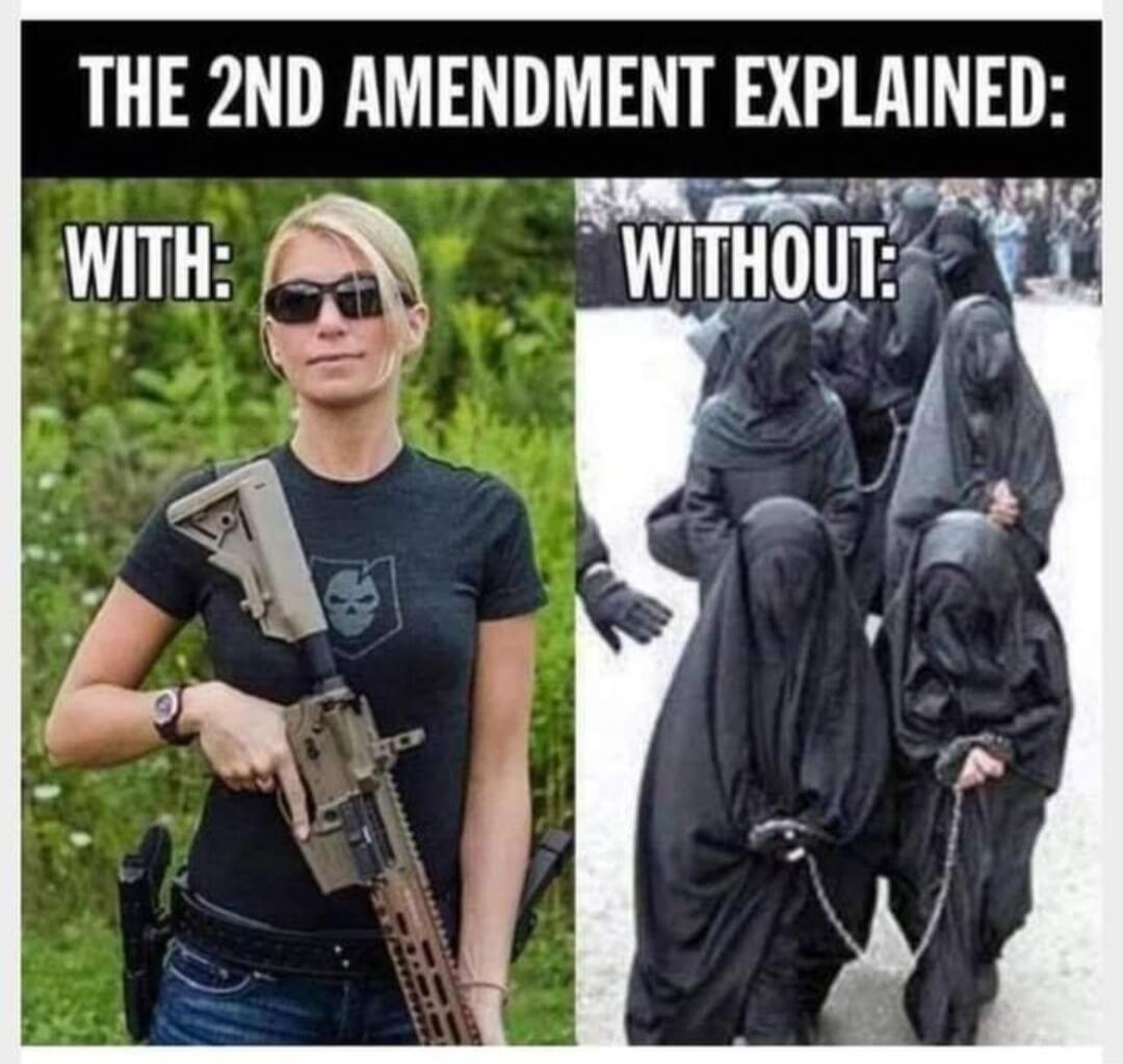 THE 2ND AMENDMENT EXPLAINED: WITH: WITHOUT: