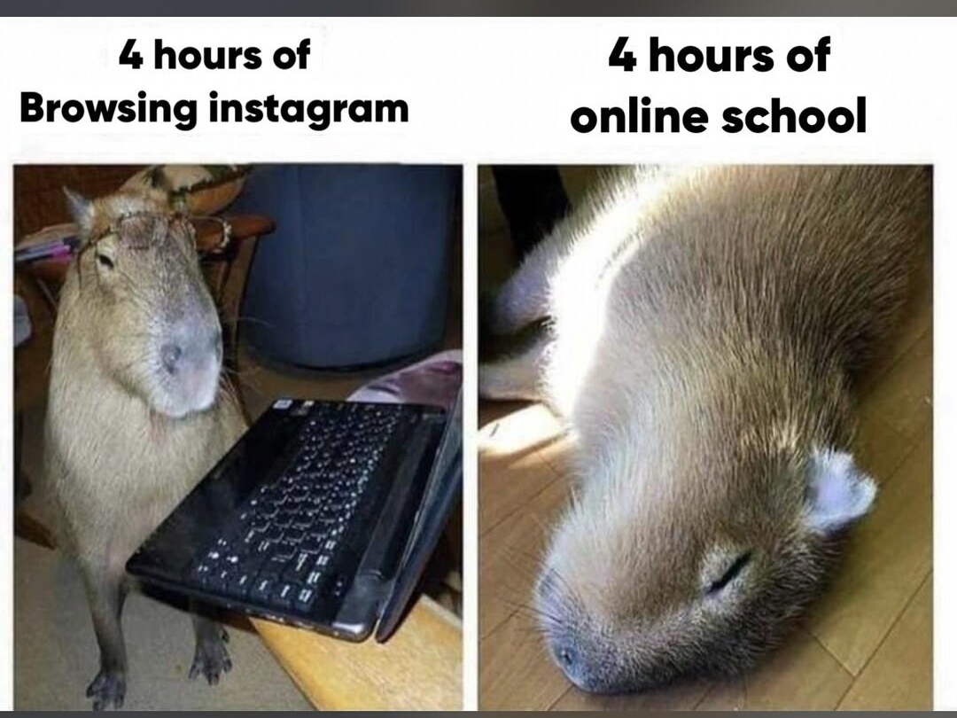 4 hours of 4 hours of Browsing instagram online school