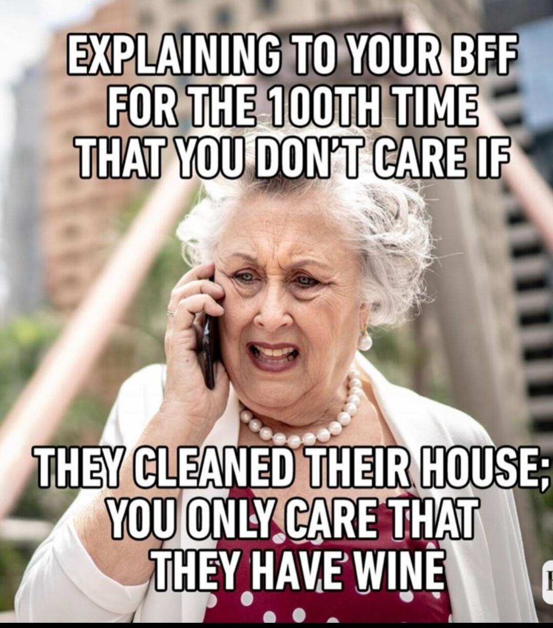 EXPLAINING TO YOUR BFF FOR THE 100TH TIME THAT YOU DON'T CARE IF THEY CLEANED THEIR HOUSE; YOU ONLY CARE THAT THEY HAVE WINE