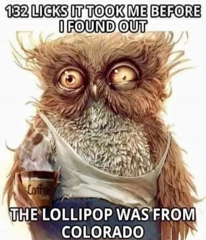 132 licks it took me before I found out the lollipop was from Colorado. Coffee.