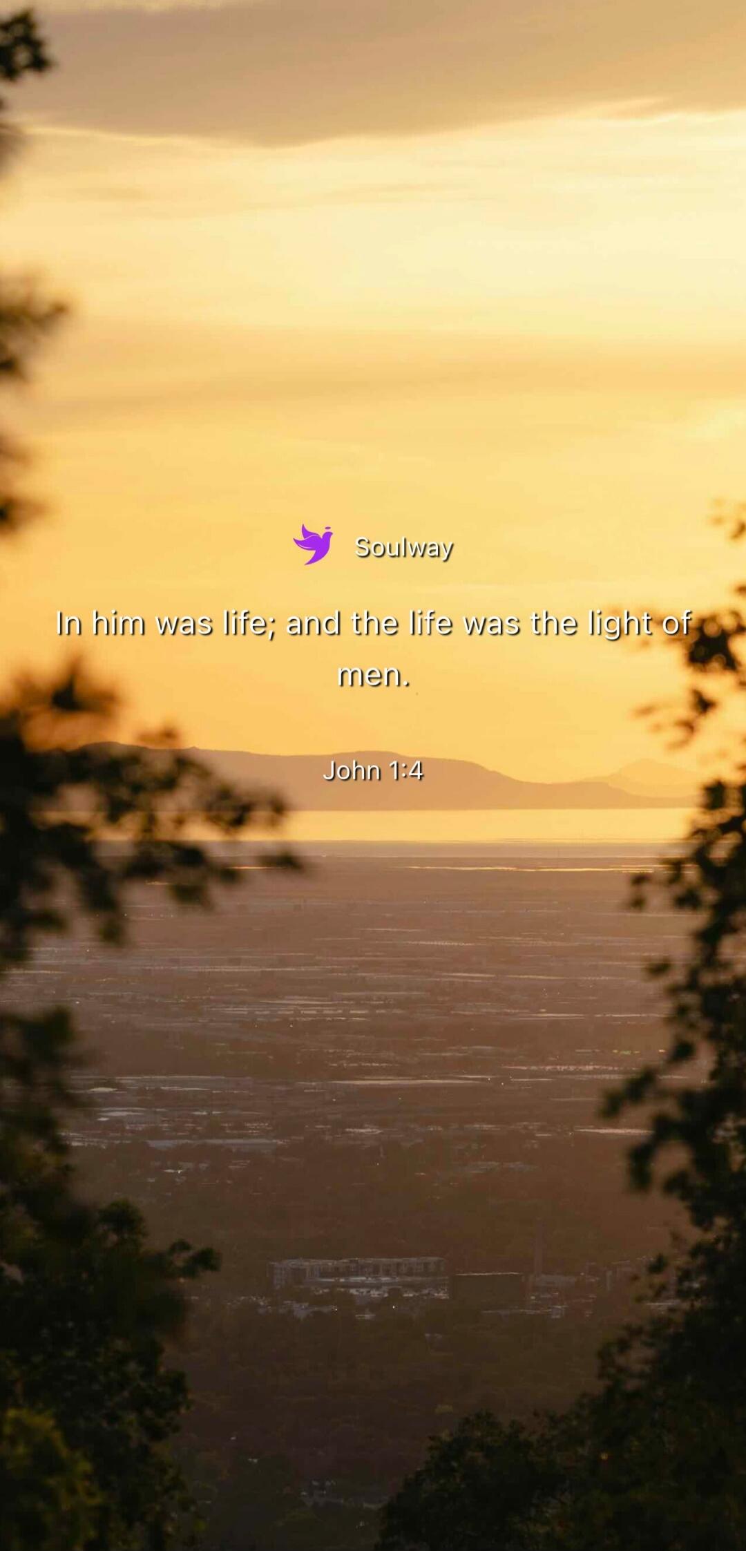 Soulway In him was life; and the life was the light of men. John 1:4