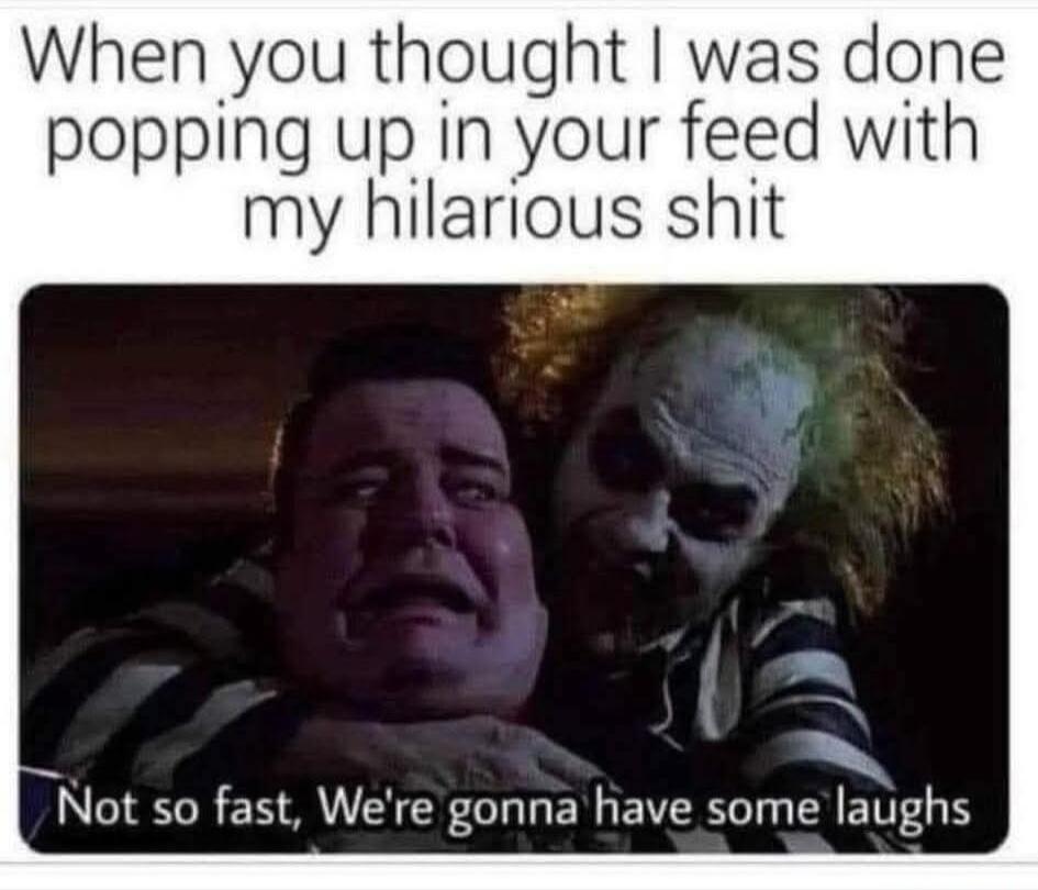 When you thought I was done popping up in your feed with my hilarious shit
Not so fast, We're gonna have some laughs